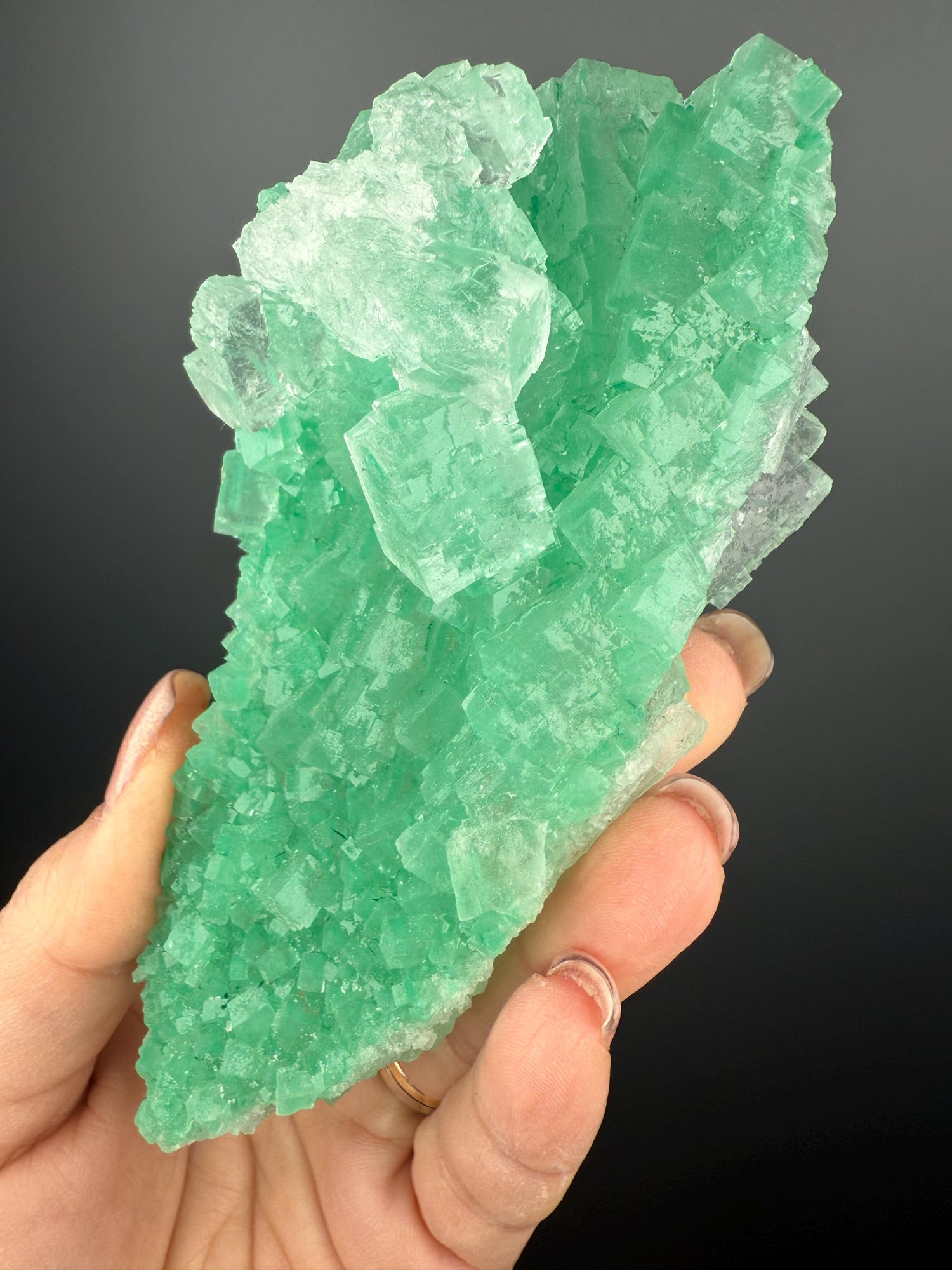 Rare Formation! Transparent Gemmy Cubic Green Halite with Gypsum Crystal Specimen from Poland