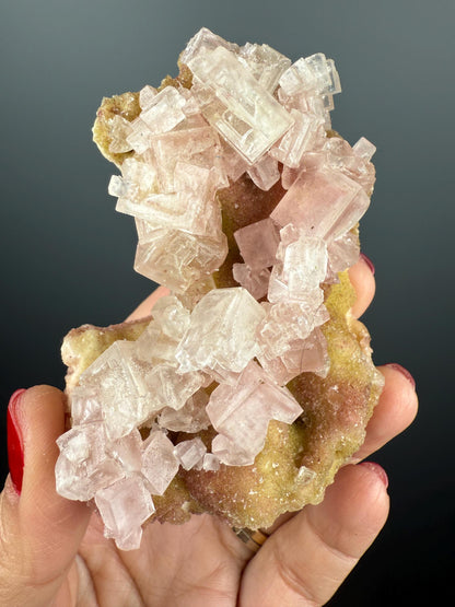 New Find! Bicolor Halite Crystal Rainbow Halite on Trona, Halite Crystal