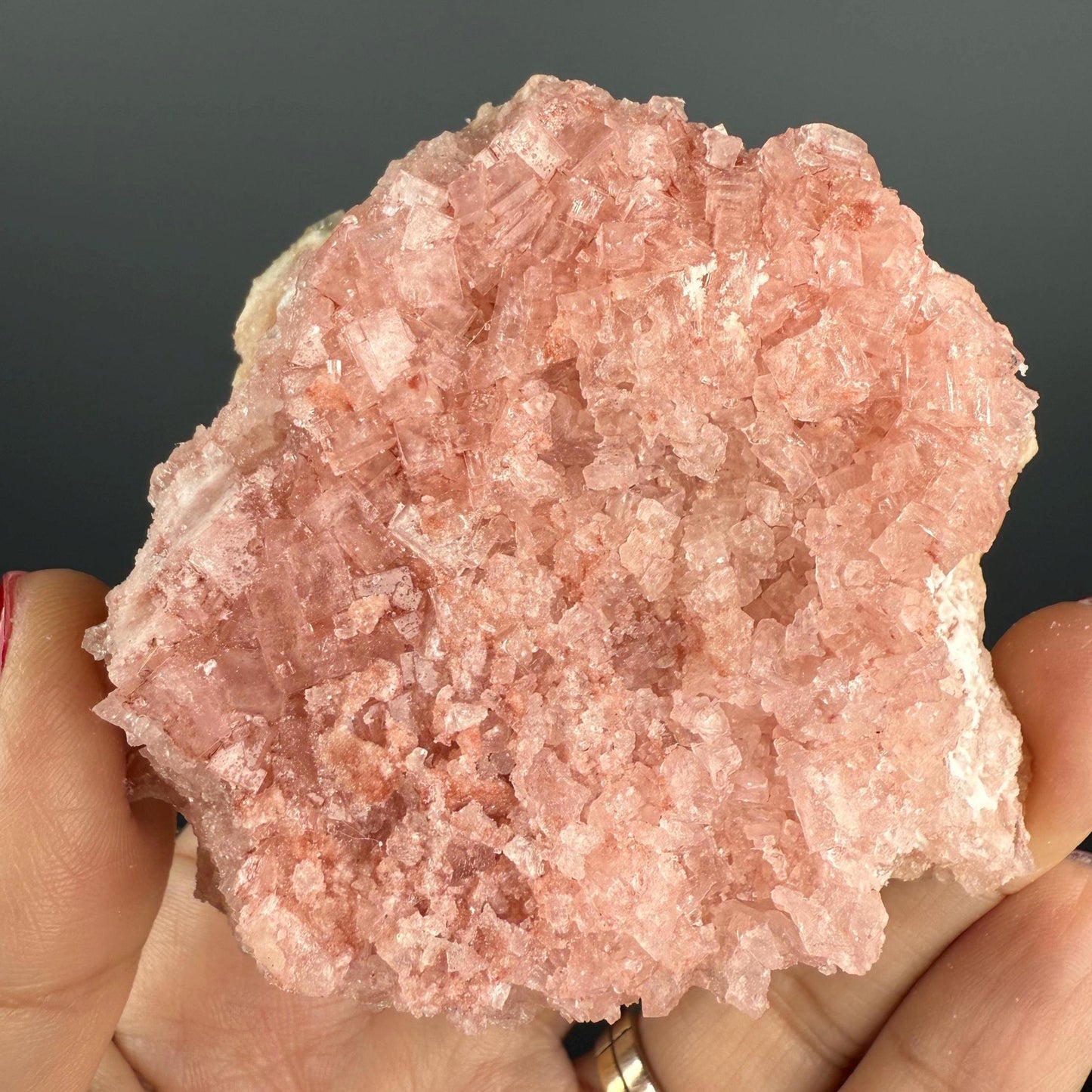 New Find! Bicolor Halite Crystal Rainbow Halite on Trona, Halite Crystal