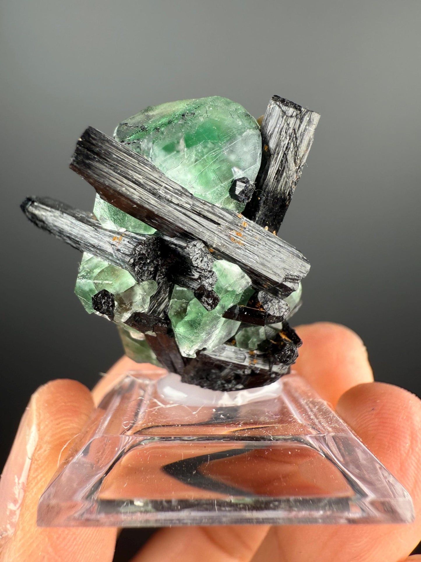 Fluorite with Black Tourmaline Crystal (Lollipop Pocket), Erongo, Namibia