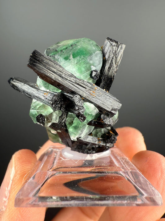 Fluorite with Black Tourmaline Crystal (Lollipop Pocket), Erongo, Namibia