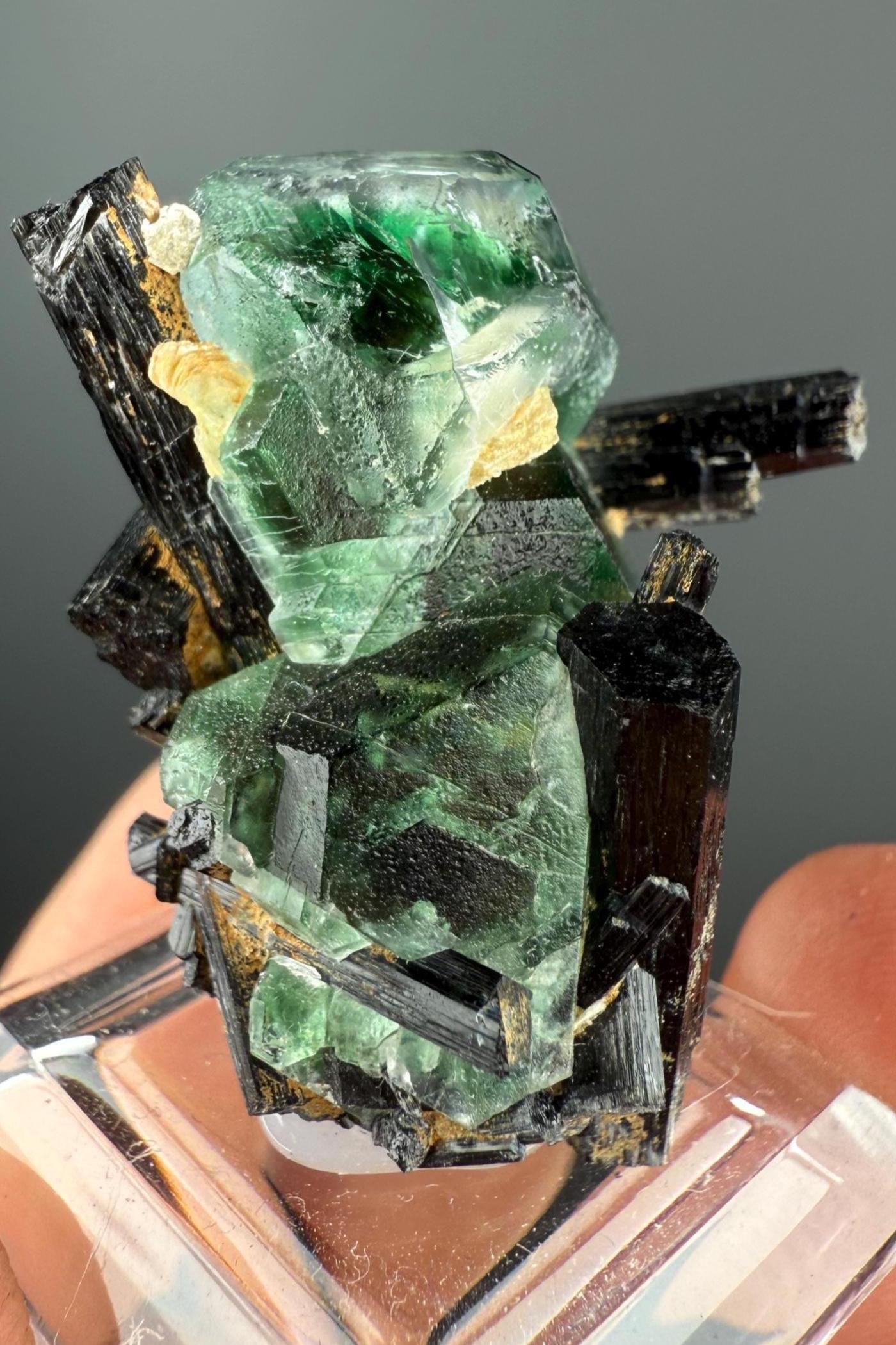 Fluorite with Black Tourmaline Crystal (Lollipop Pocket), Erongo, Namibia