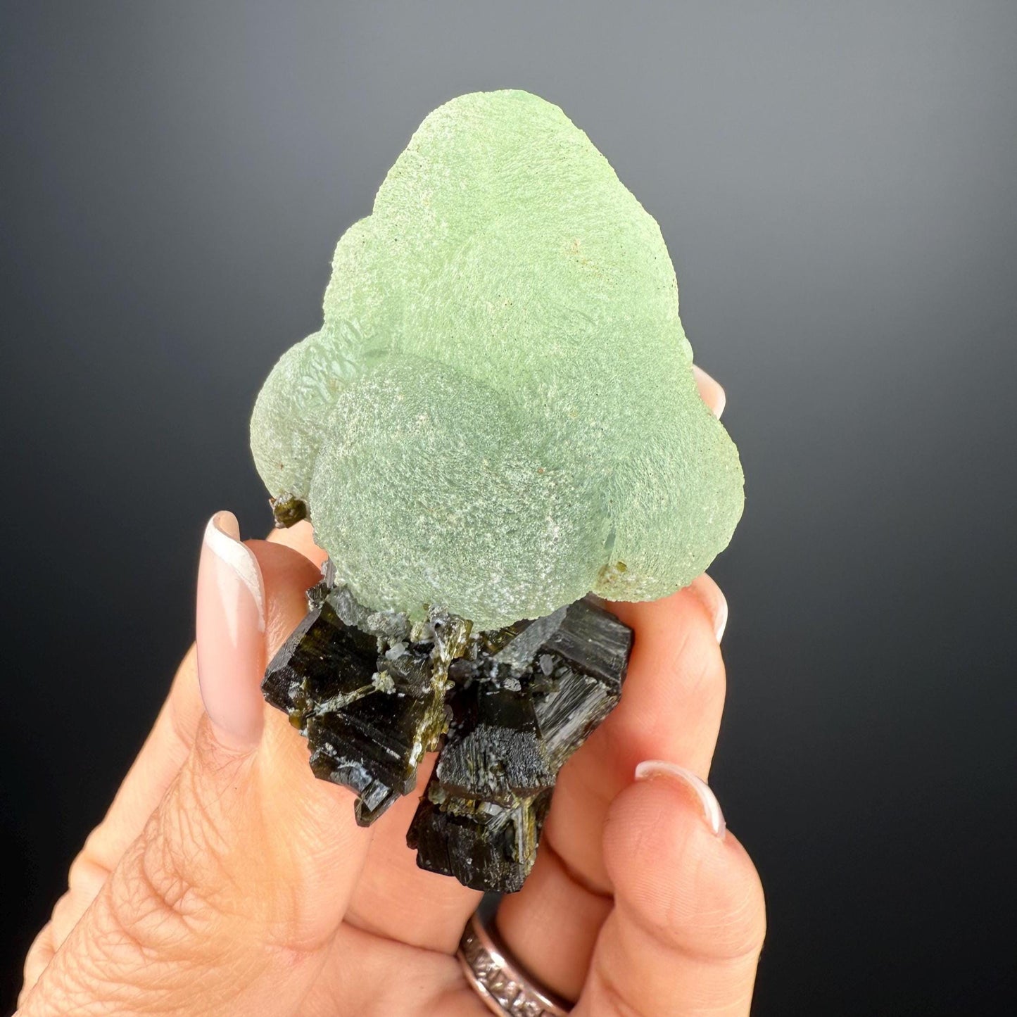 Grape Green Prehnite with Dark Green Epidote Specimen