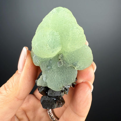 Grape Green Prehnite with Dark Green Epidote Specimen