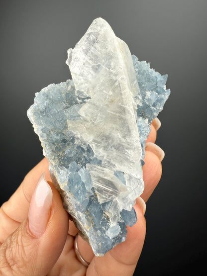 Sky Blue Celestite (Celestine) with Selenite Crystal
