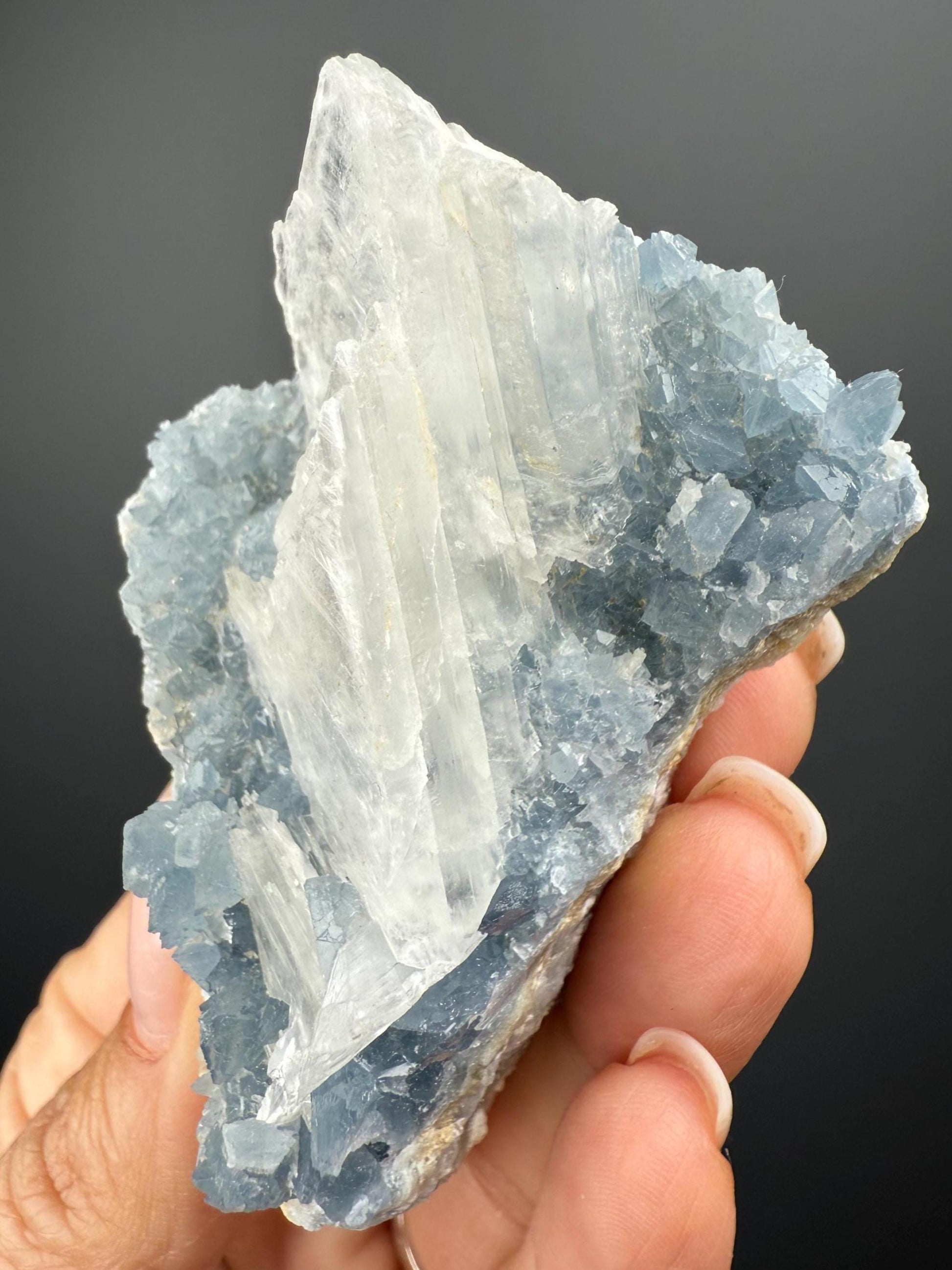 Sky Blue Celestite (Celestine) with Selenite Crystal