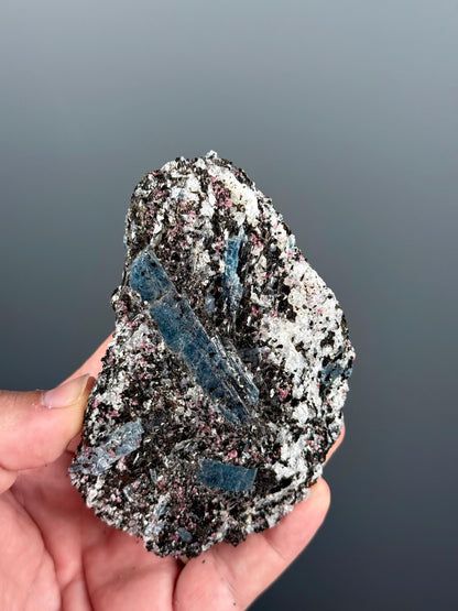 Rare! Blue Kyanite with Garnet Mineral Specimen