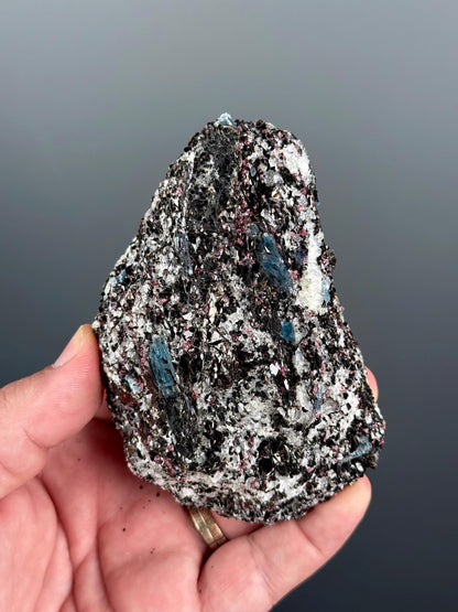 Rare! Blue Kyanite with Garnet Mineral Specimen