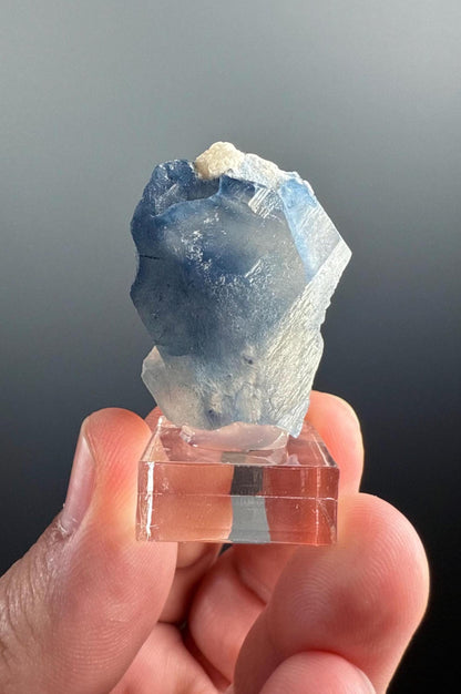 Rare Quartz ! Indicolite Quartz Crystal Specimen