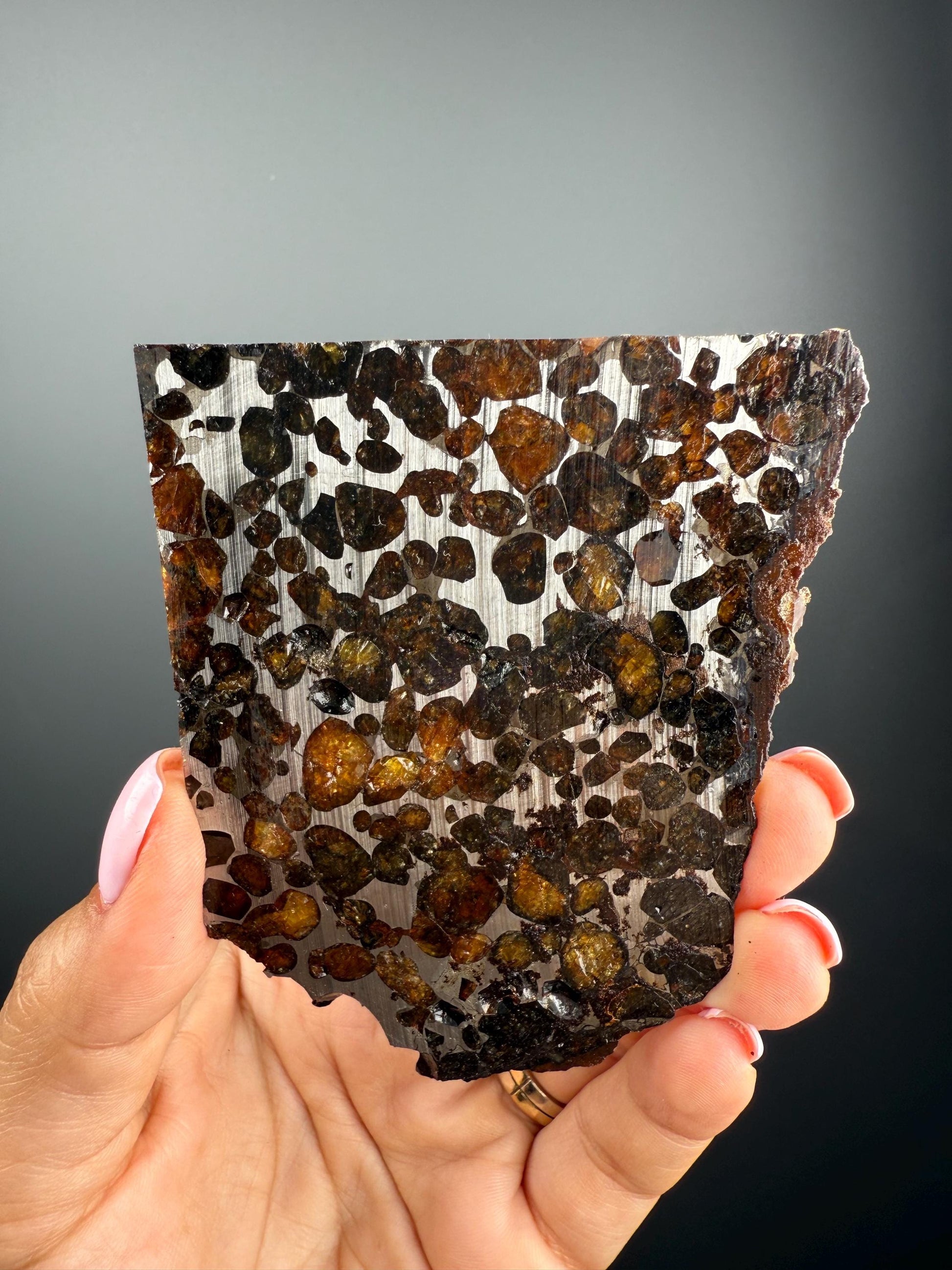 RARE !Seymchan Pallasite Meteorite Slab, Pallasite Meteorite
