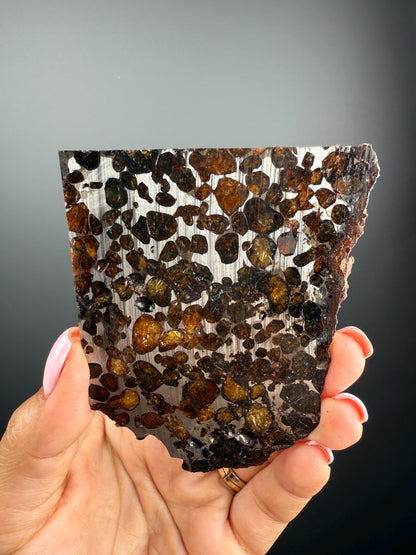 RARE !Seymchan Pallasite Meteorite Slab, Pallasite Meteorite