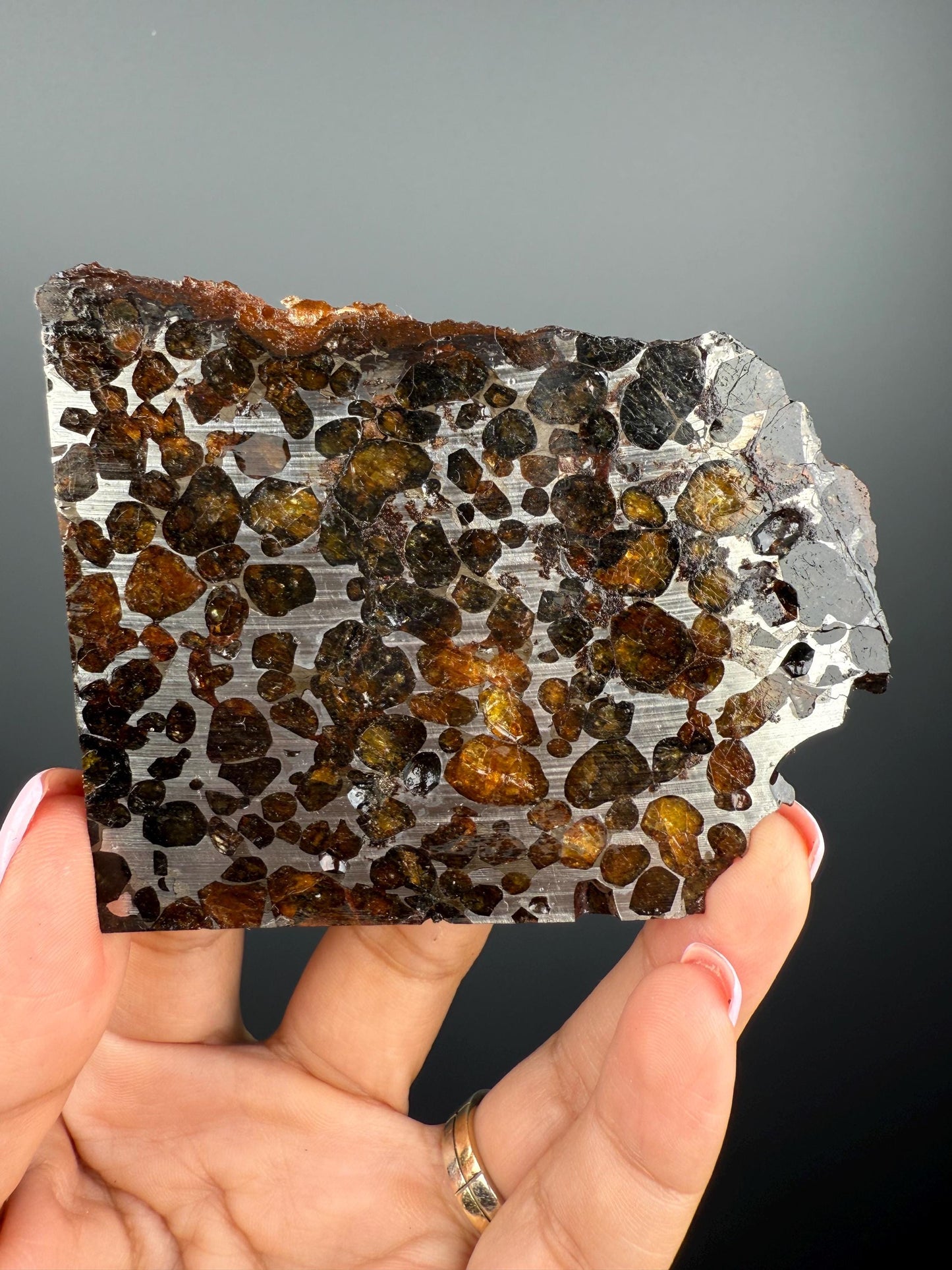 RARE !Seymchan Pallasite Meteorite Slab, Pallasite Meteorite