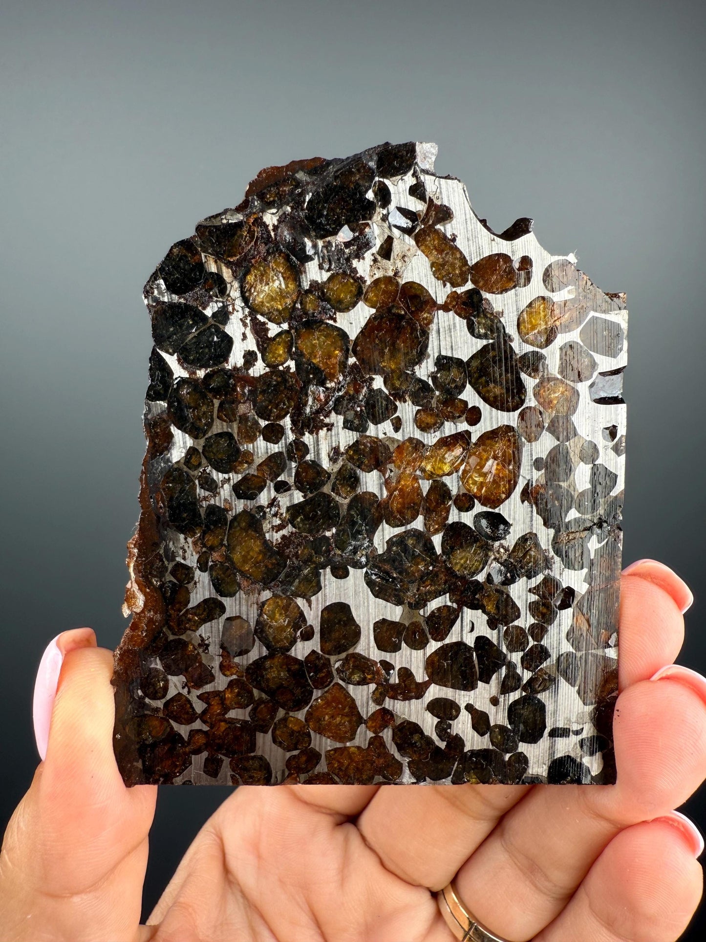RARE !Seymchan Pallasite Meteorite Slab, Pallasite Meteorite