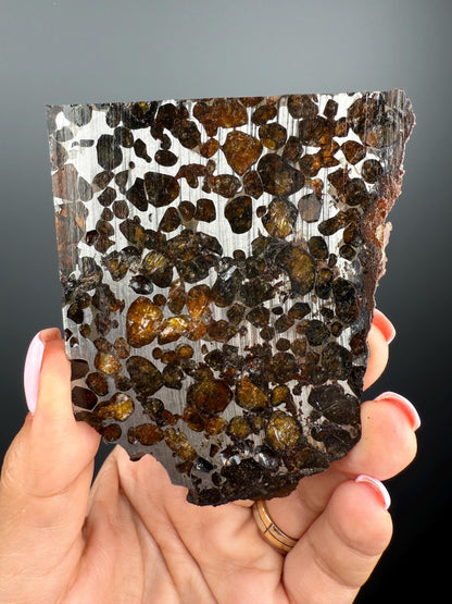 RARE !Seymchan Pallasite Meteorite Slab, Pallasite Meteorite