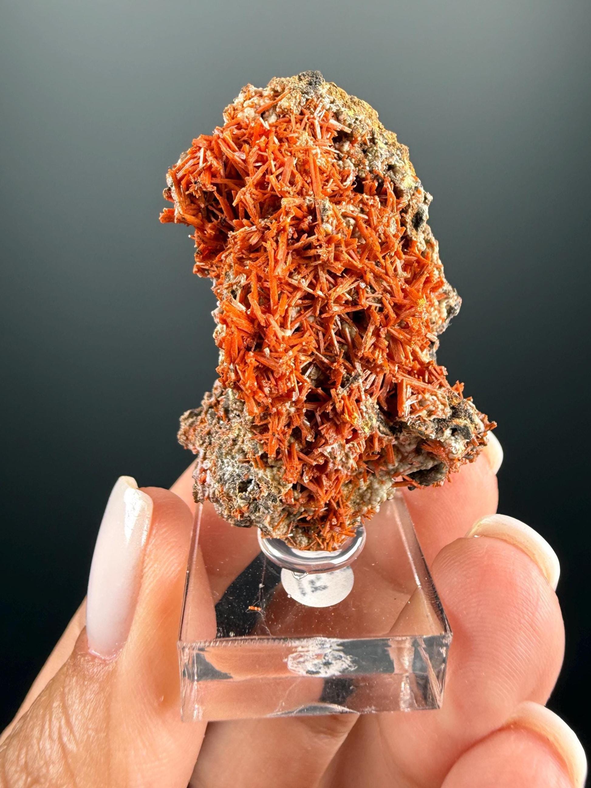Orange Crocoite Crystal Specimen