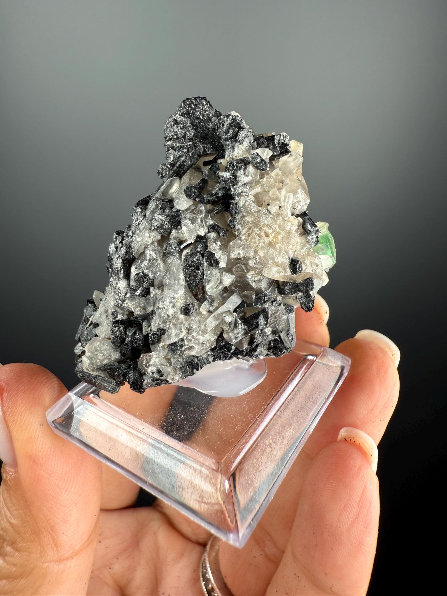 Fluorite with Black Tourmaline Crystal (Lollipop Pocket)