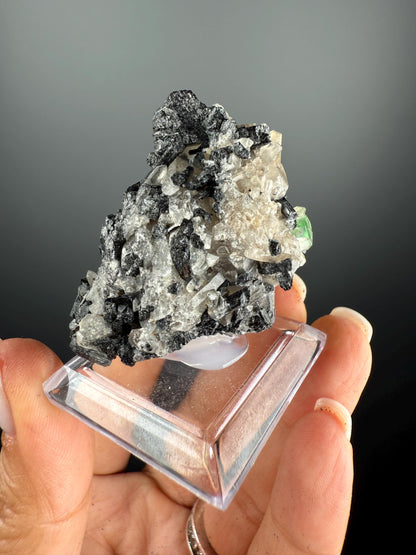 Fluorite with Black Tourmaline Crystal (Lollipop Pocket)