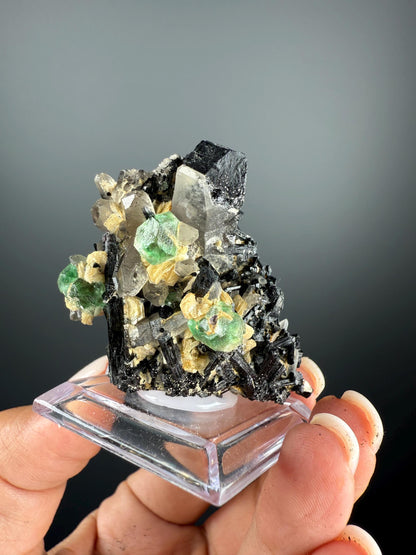Fluorite with Black Tourmaline Crystal (Lollipop Pocket)