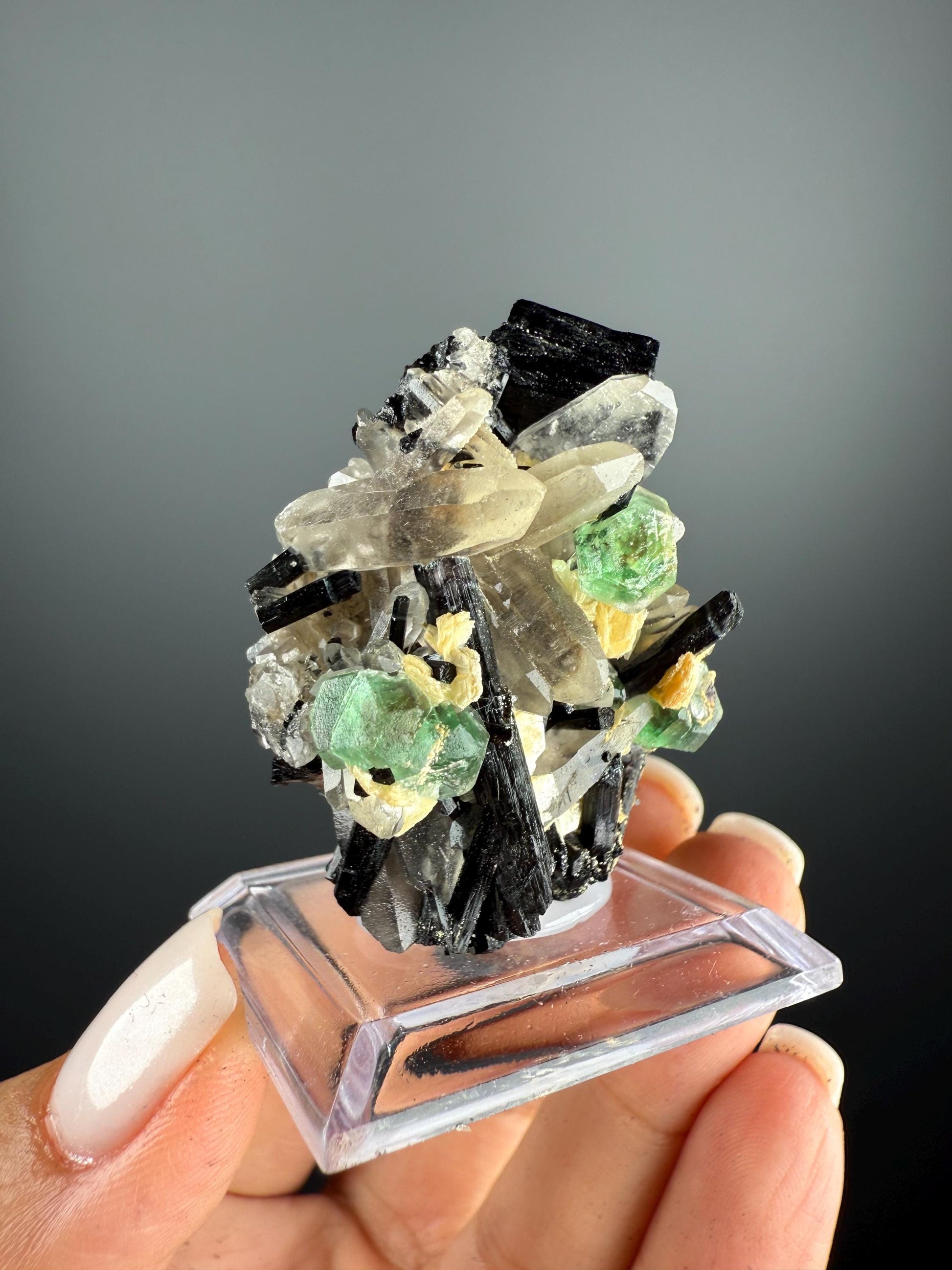 Fluorite with Black Tourmaline Crystal (Lollipop Pocket)