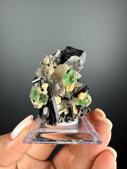 Fluorite with Black Tourmaline Crystal (Lollipop Pocket)
