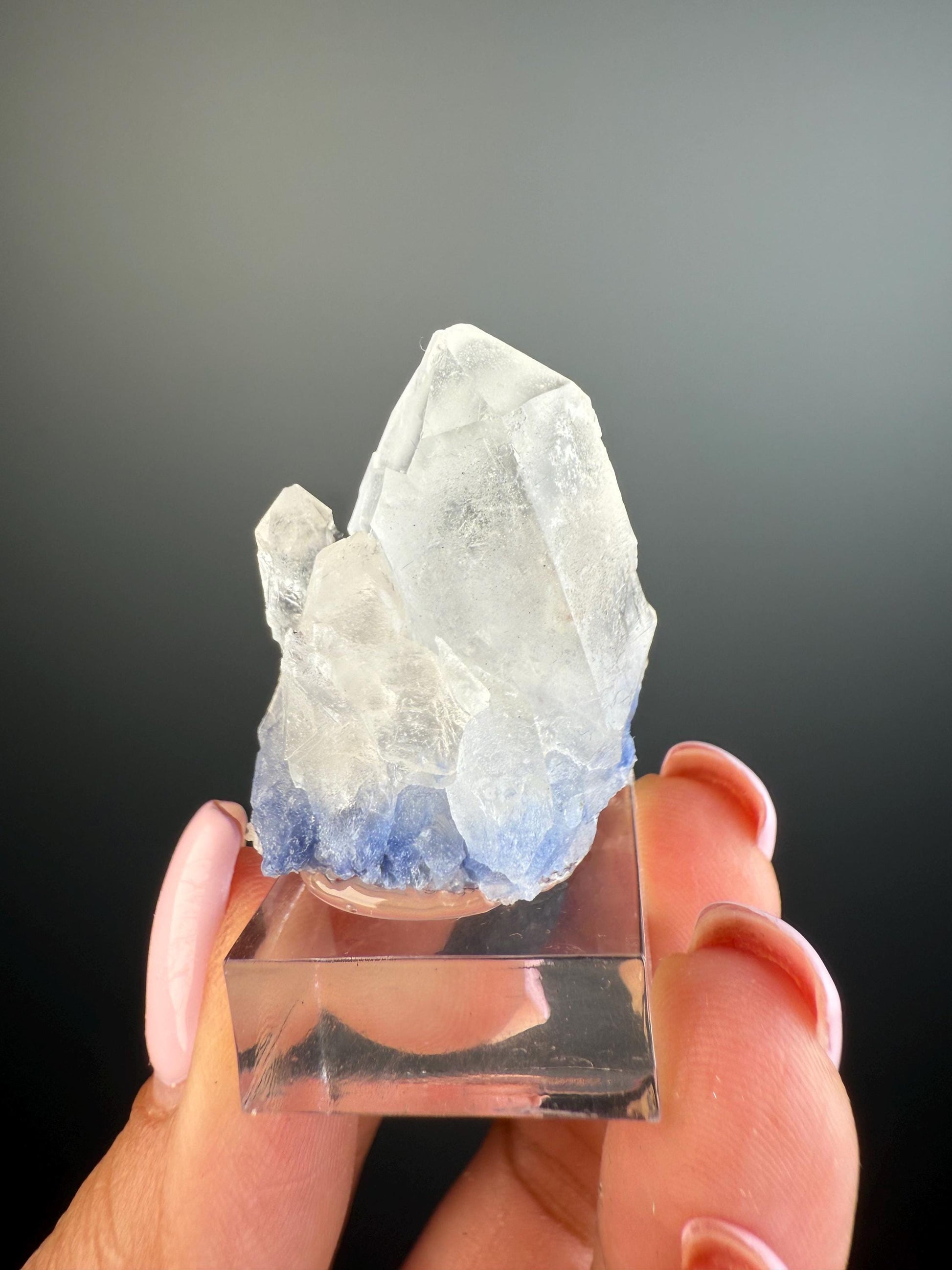 Mental Serenity! Dumortierite Quartz Crystal