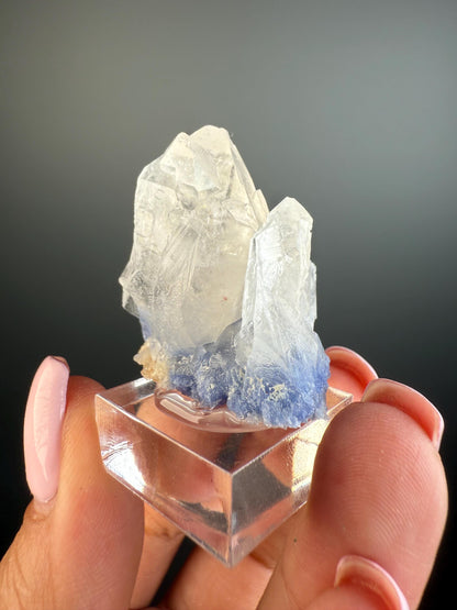 Mental Serenity! Dumortierite Quartz Crystal