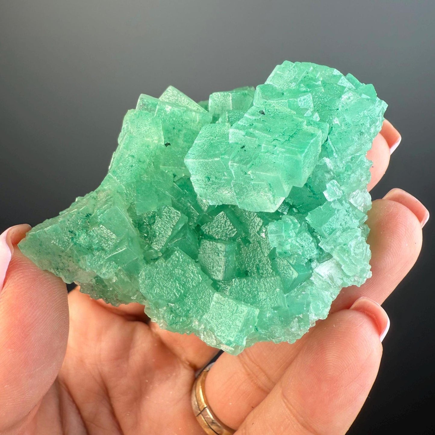 Purification, Balance, Protection! Transparent Gemmy Cubic Green Halite Specimen