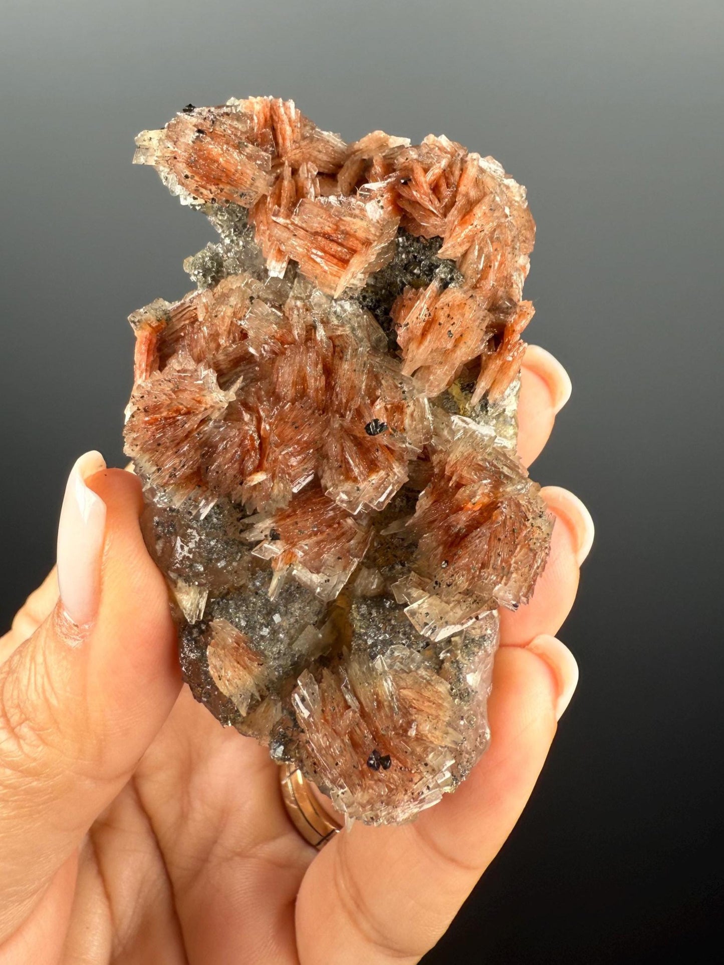 New Find!Pyrite and Red Barite on Yellow Fluorite Crystal Specimen