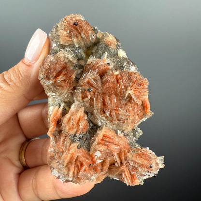 New Find!Pyrite and Red Barite on Yellow Fluorite Crystal Specimen