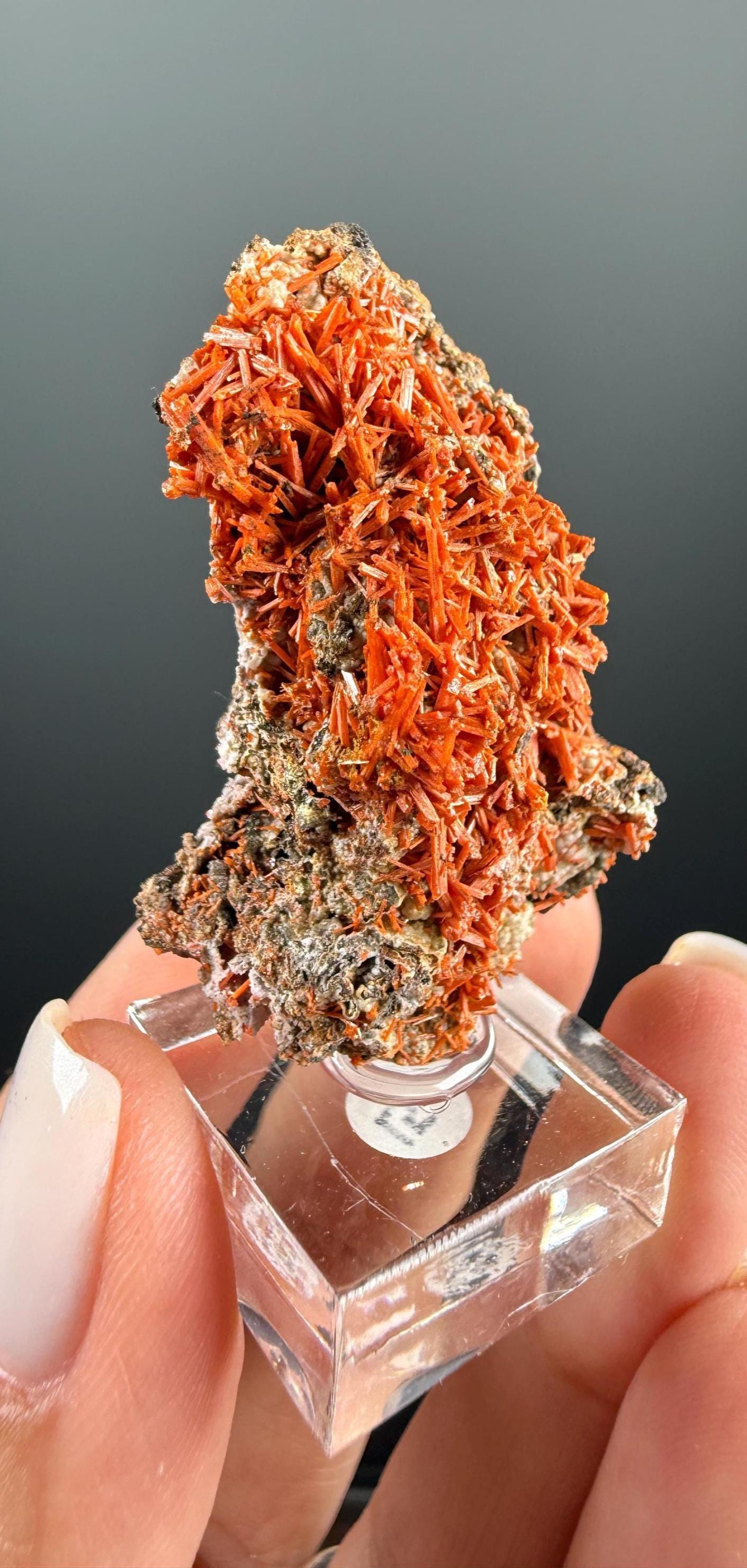 Orange Crocoite Crystal Specimen