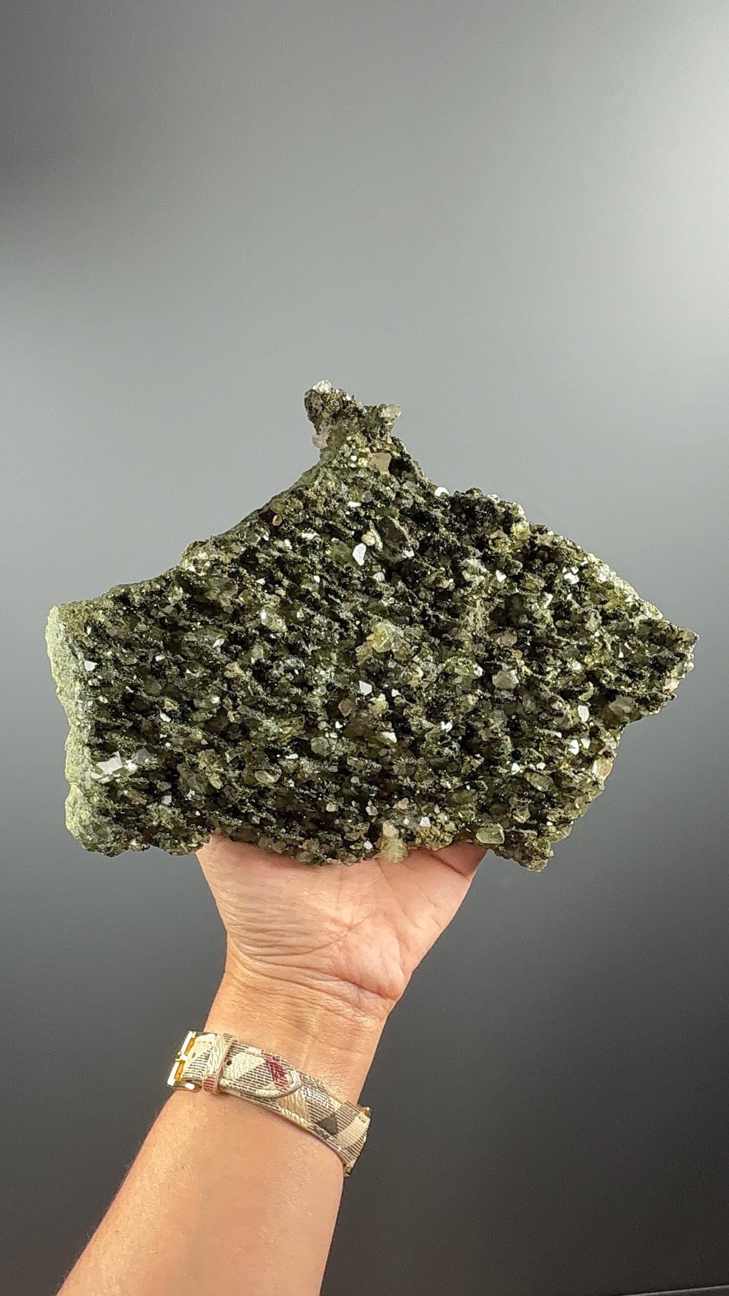 Big Size! Forest Quartz with Epidote! Sparkly Green Epidote with Quartz