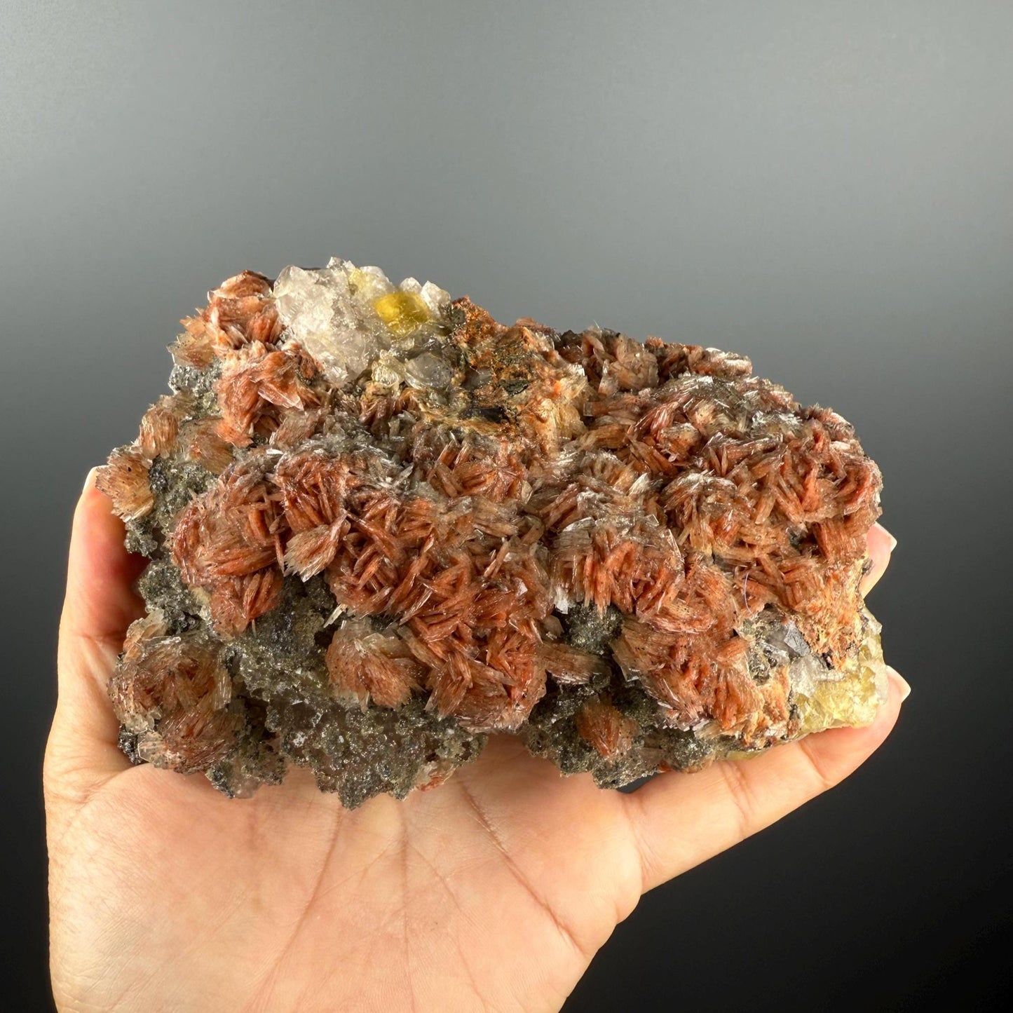 New Find!Pyrite and Red Barite on Yellow Fluorite Crystal Specimen