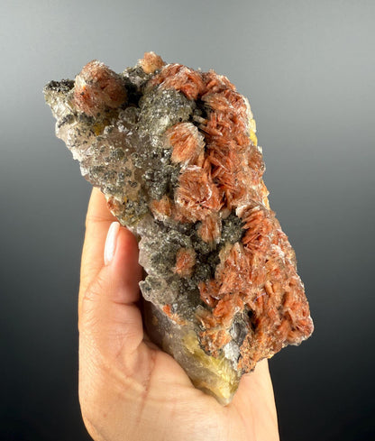 New Find!Pyrite and Red Barite on Yellow Fluorite Crystal Specimen