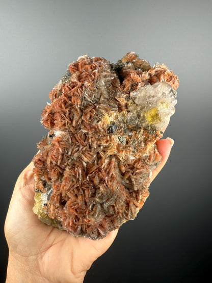New Find!Pyrite and Red Barite on Yellow Fluorite Crystal Specimen