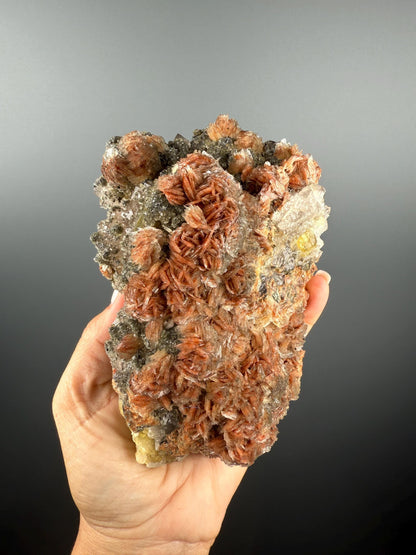 New Find!Pyrite and Red Barite on Yellow Fluorite Crystal Specimen