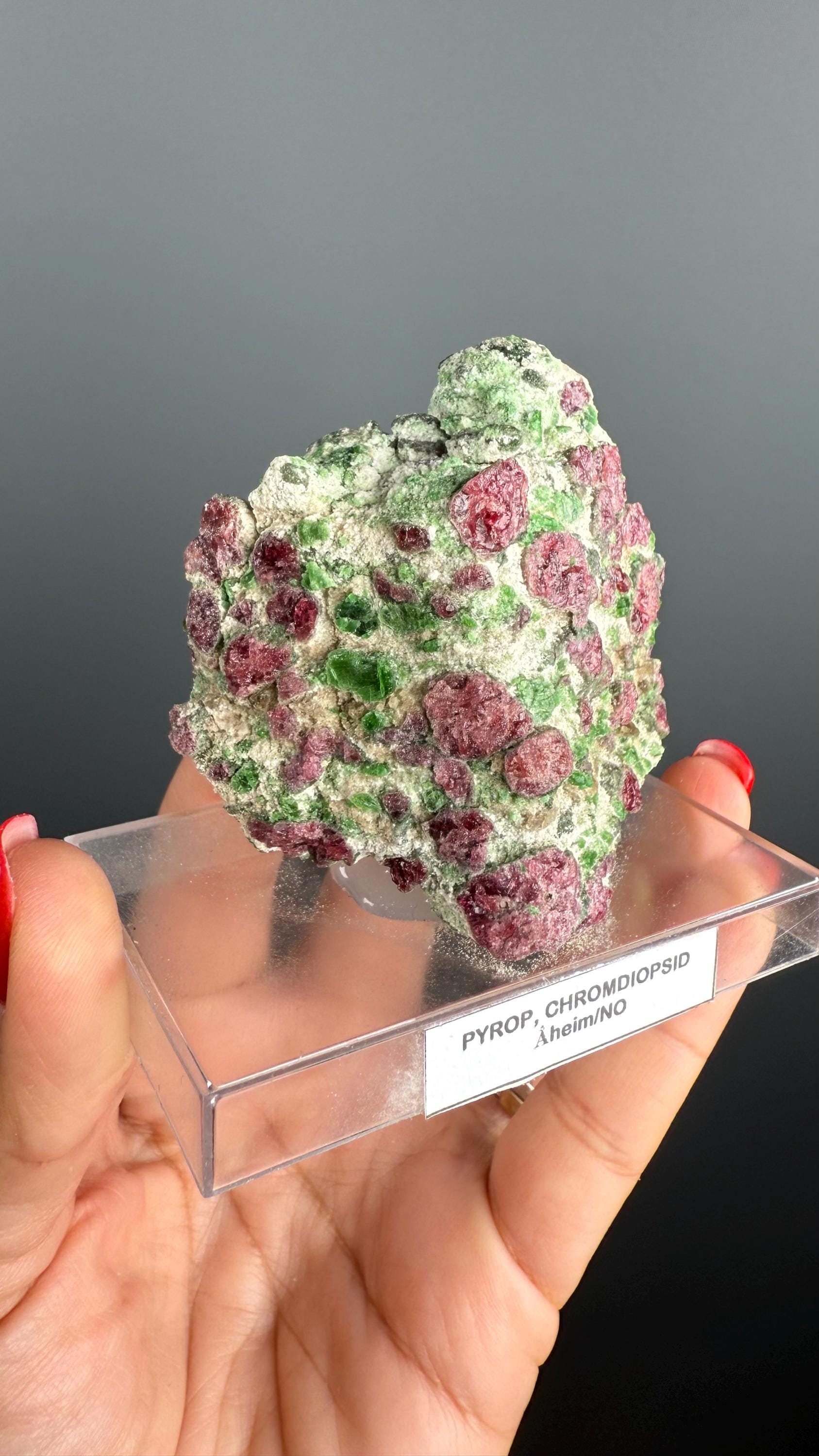Rare! Pyrope Garnet with Chrom Diopsite Specimen