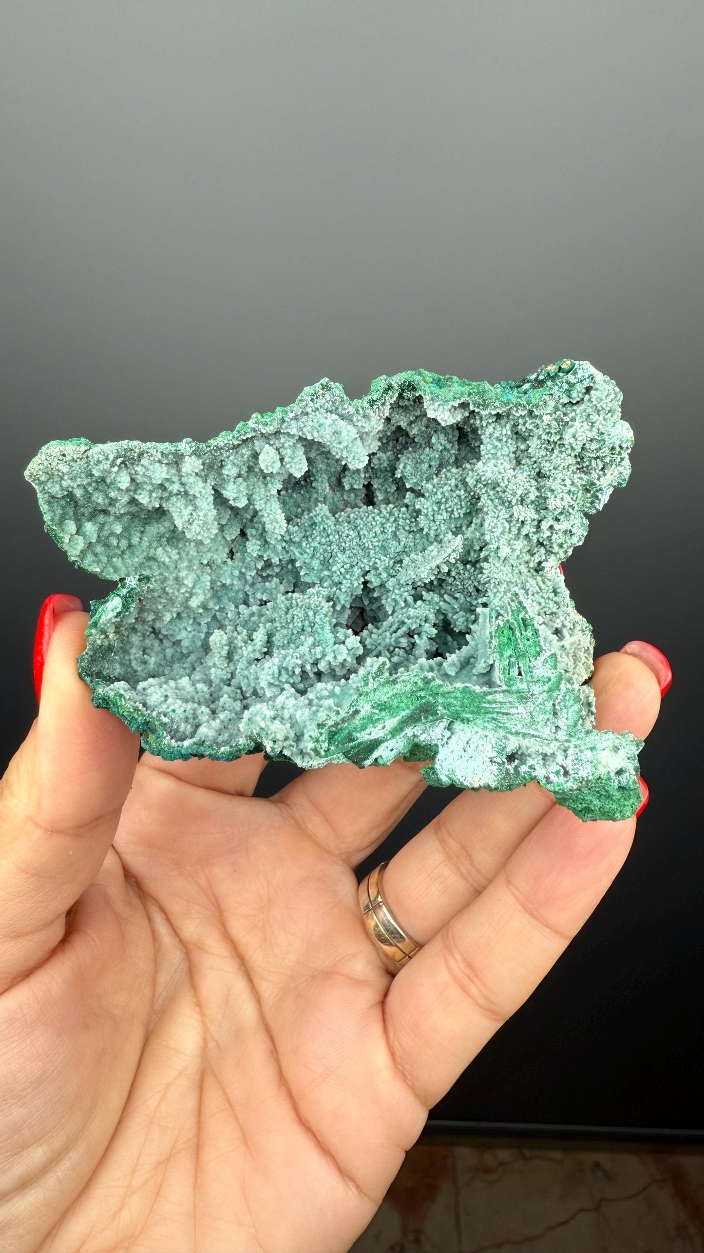 Druzy Blue Chrysocolla with Malachite Crystal Specimen