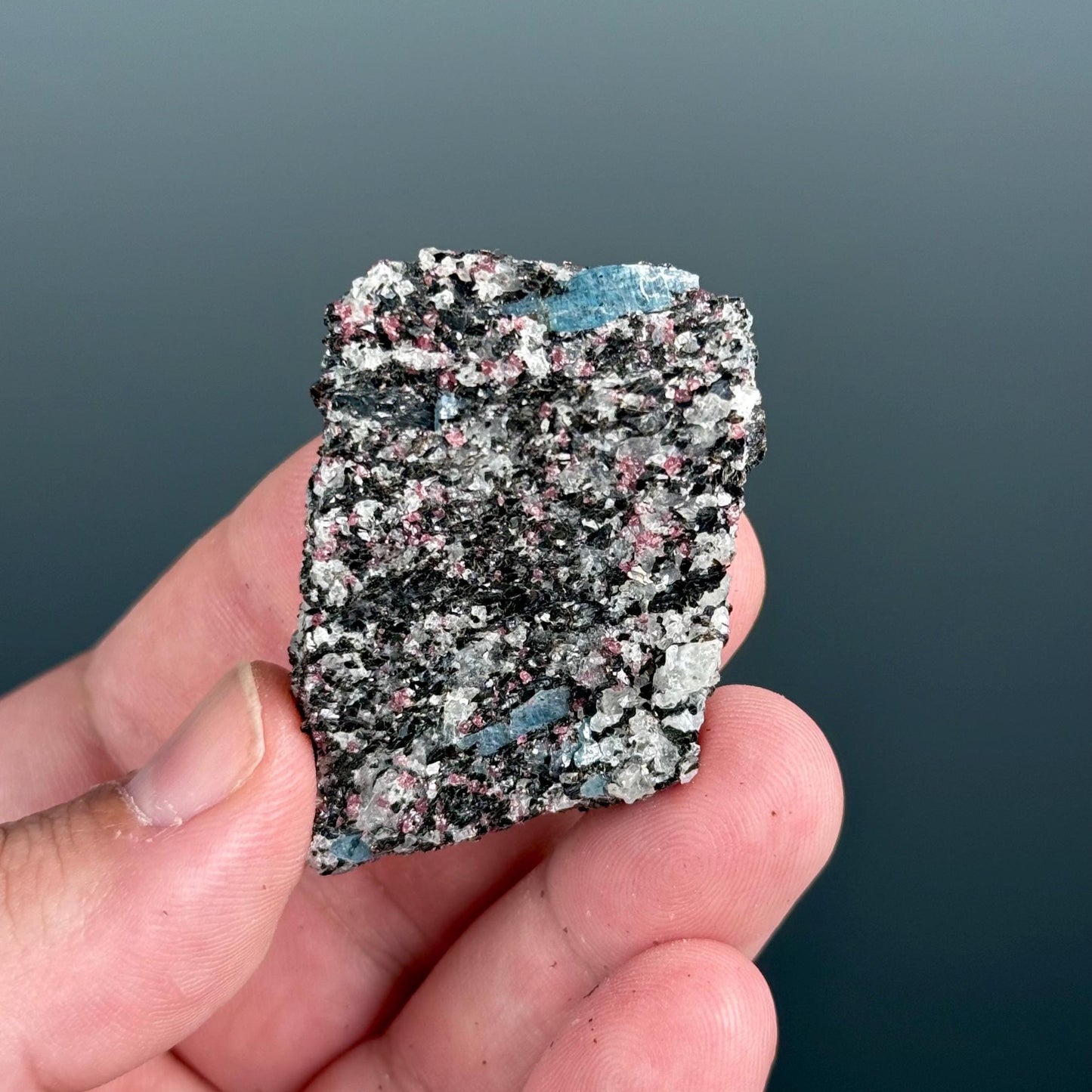 Amazing Piece for Rare Blue Kyanite with Garnet Mineral Specimen