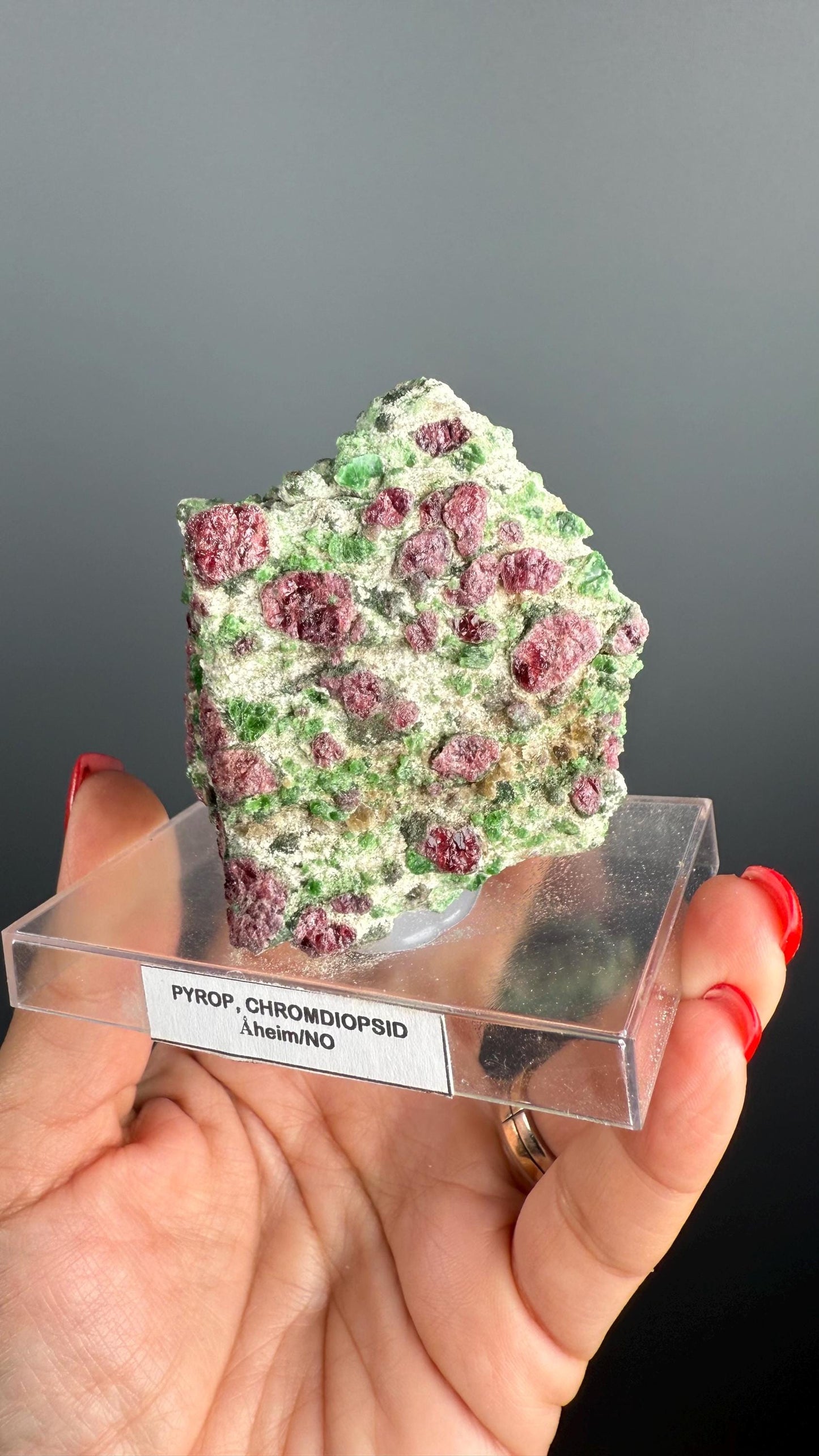 Rare! Pyrope Garnet with Chrom Diopsite Specimen