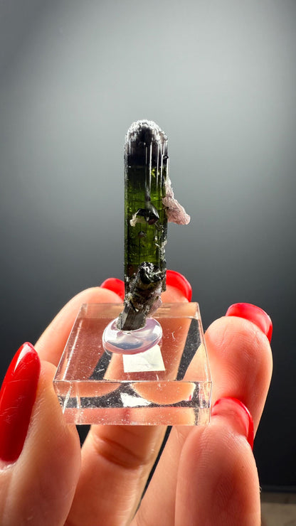 Green Tourmaline with Lepidolite Crystal from Minas Gerais, Brazil