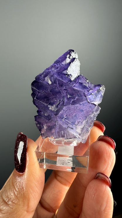 Purple Fluorite Specimen from Tula mine, Muzquiz Mexico