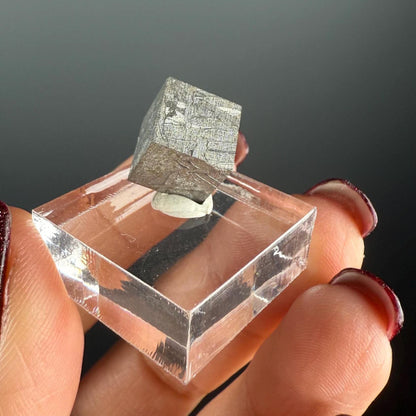 Muonionalusta Meteorite Cube