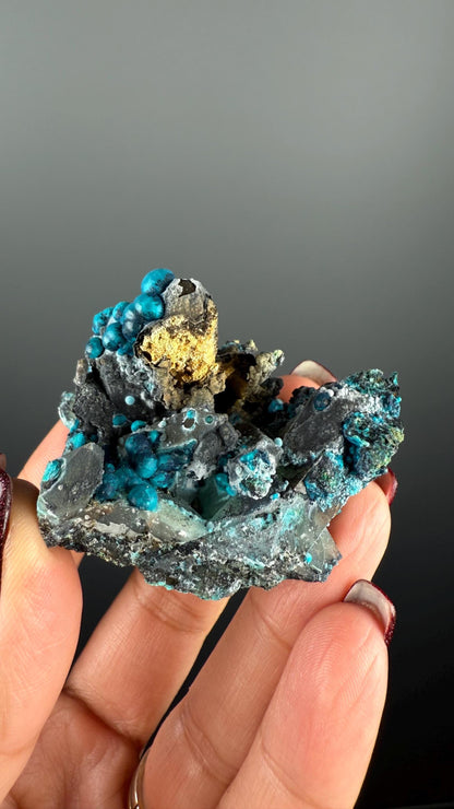 New! Pseudomorp Blue Chrysocolla on Quartz Specimen from Peru