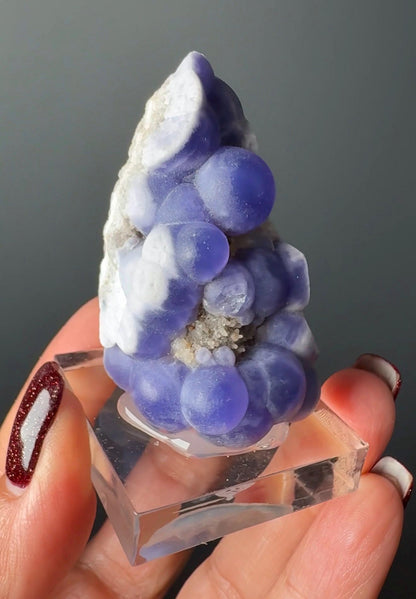 Very Rare! Botryoidal Bluish Purple Fluorite Specimen