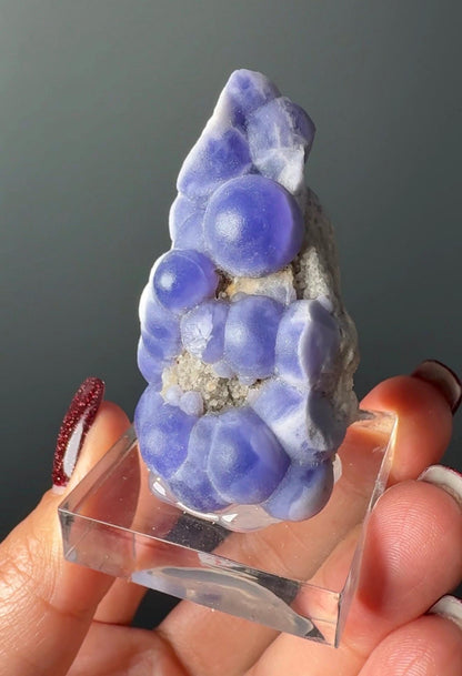 Very Rare! Botryoidal Bluish Purple Fluorite Specimen