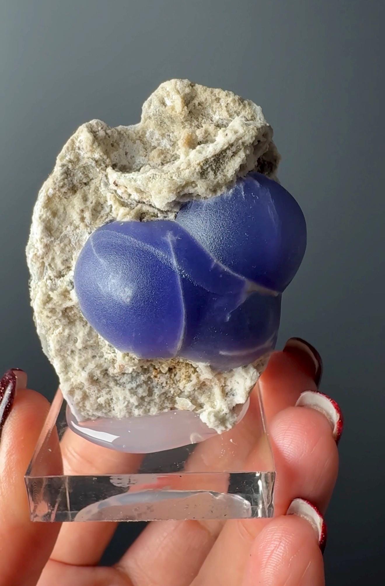 Very Rare! Botryoidal Bluish Purple Fluorite Specimen