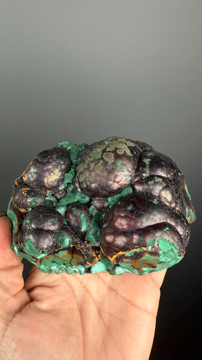 Spheroidal Clusters of Botryoidal Malachite Covered in Coppery Layer of Hematite