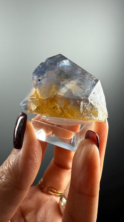 Amazing ! Fluorite Crystal Mineral Specimen from France