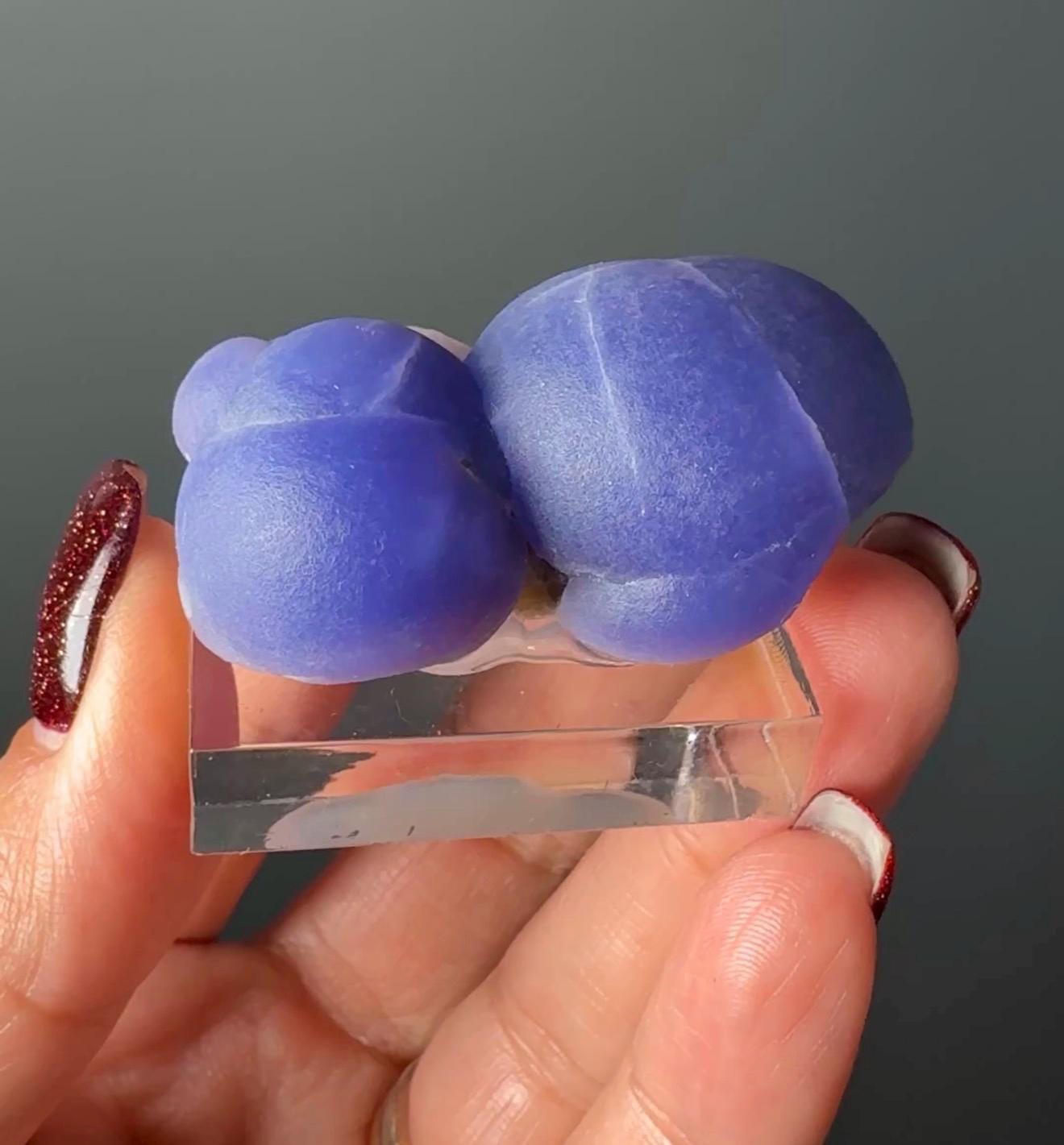 Very Rare! Botryoidal Bluish Purple Fluorite Specimen