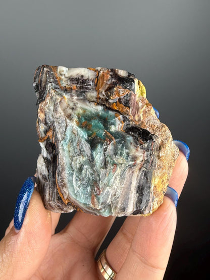 Natural Collawood (Colla Petrified Wood) with Chrysocolla and Malachite